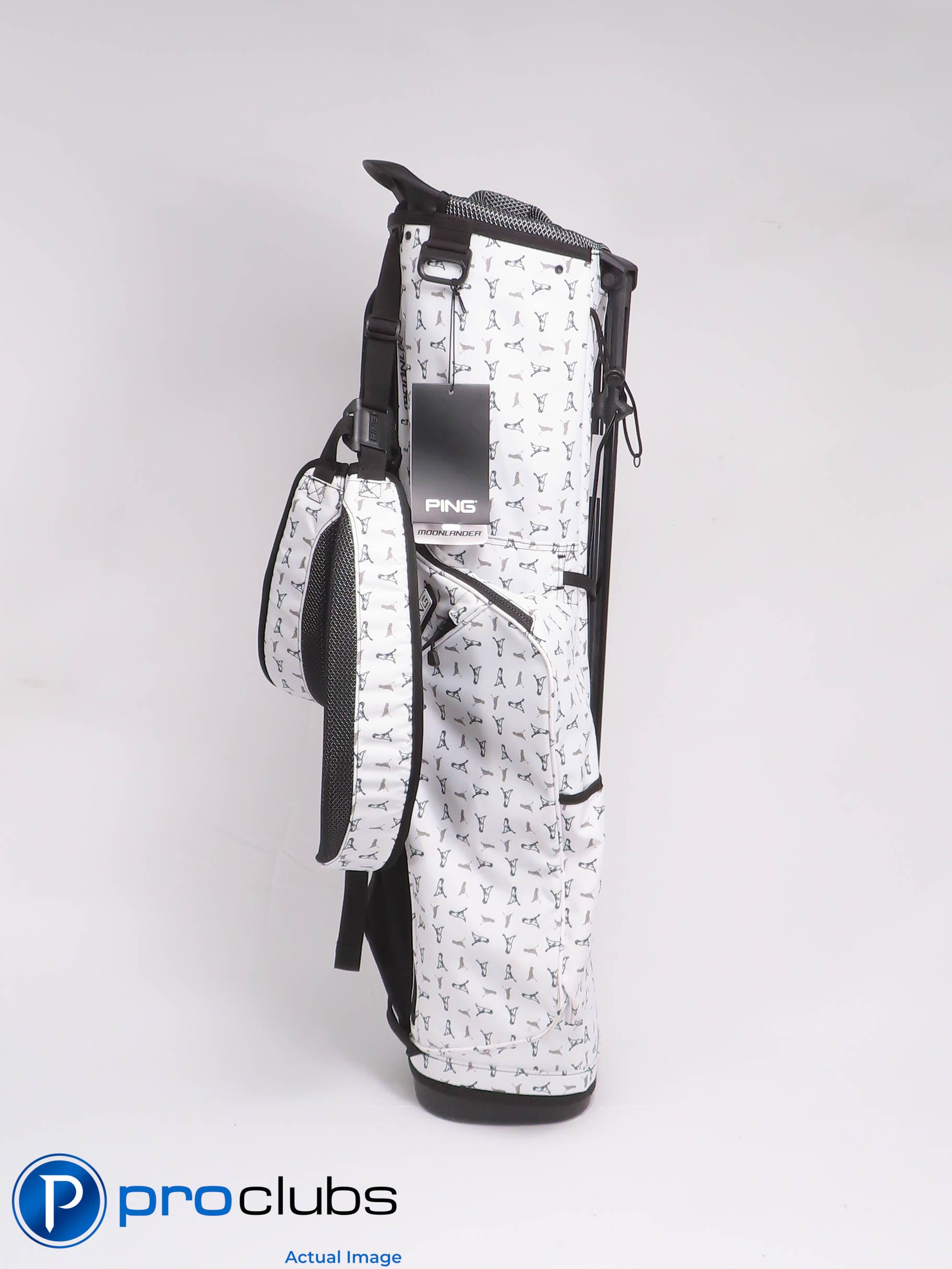 PING MOONLANDER Carry / Stand Bag w/ Double Strap w/ Rainhood #457259